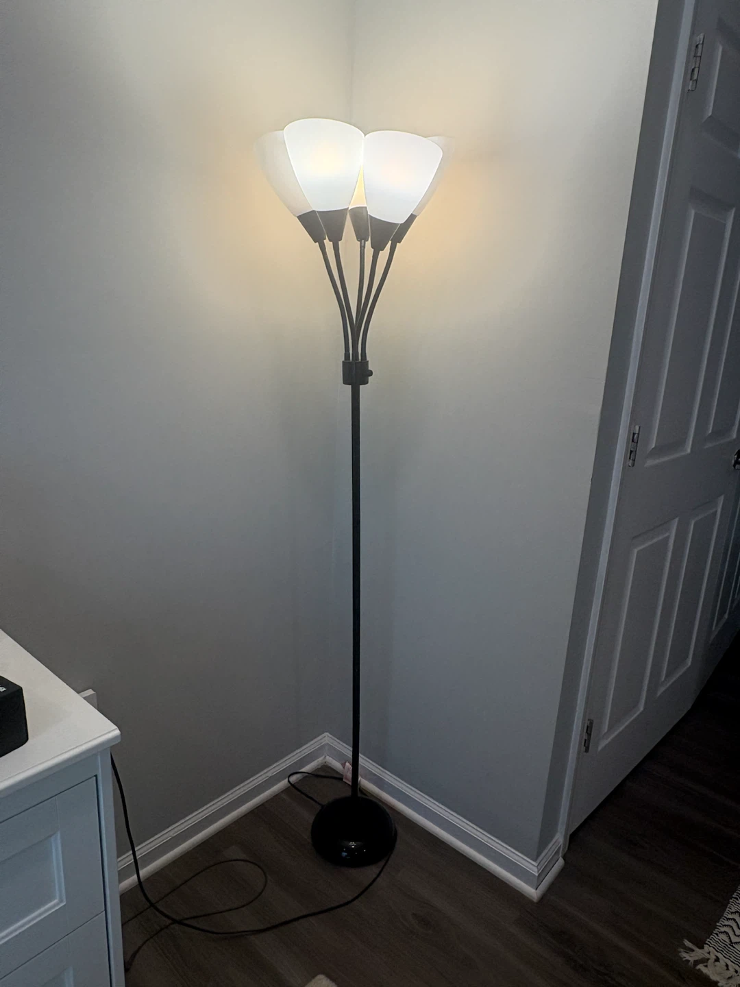 Black Floor Lamp with 5 Lights - photo 4