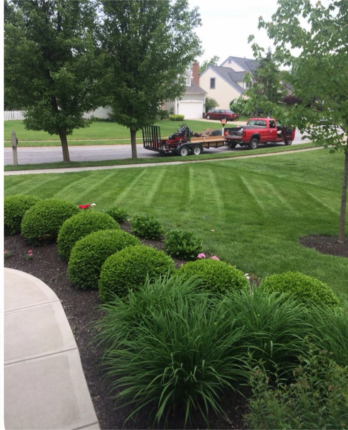 lawn mowing