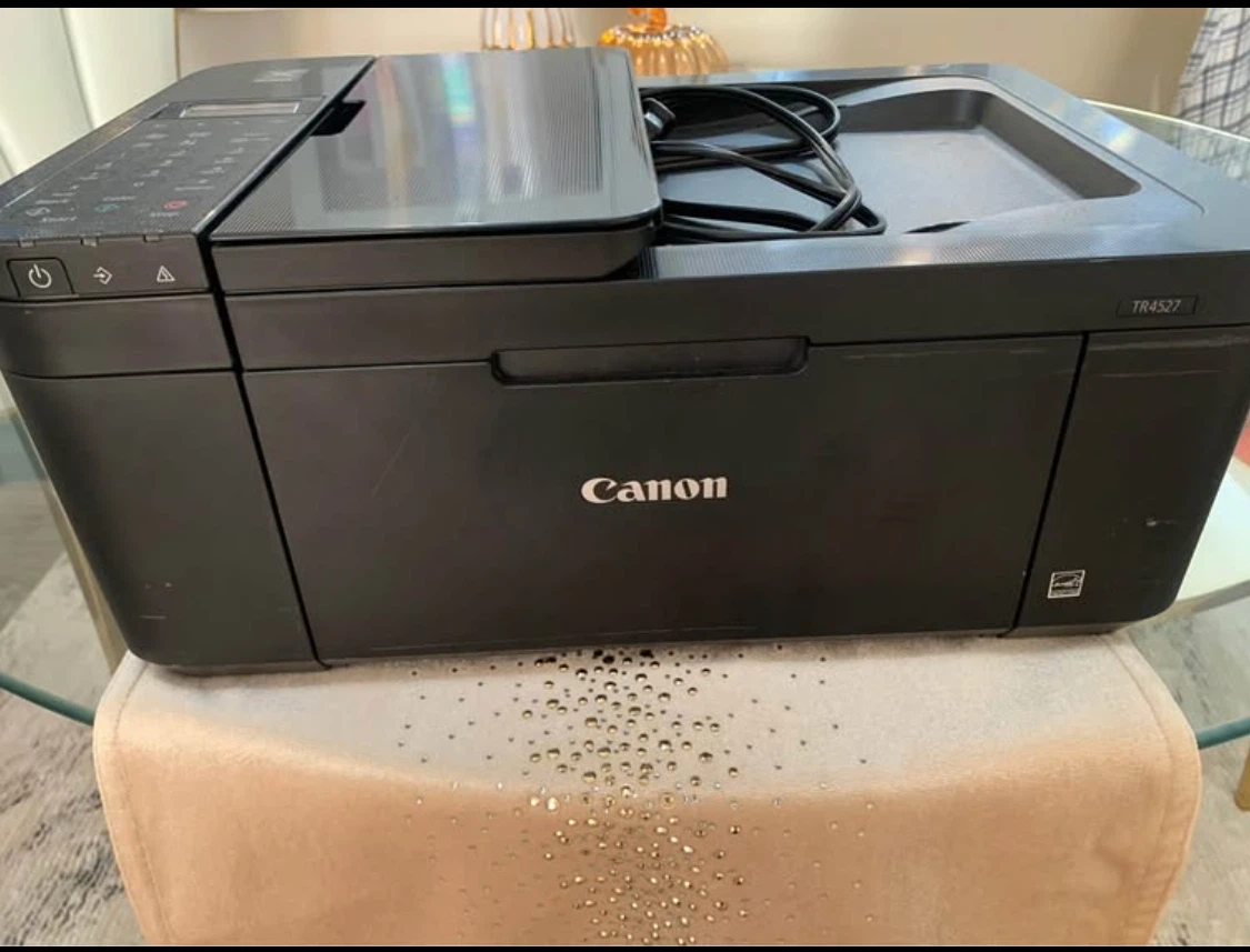 Canon PIXMA TR4527 All-in-One Printer - photo 5