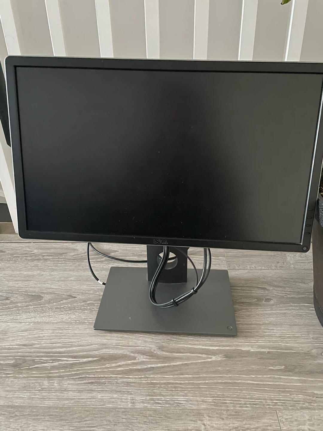 Dell Monitor