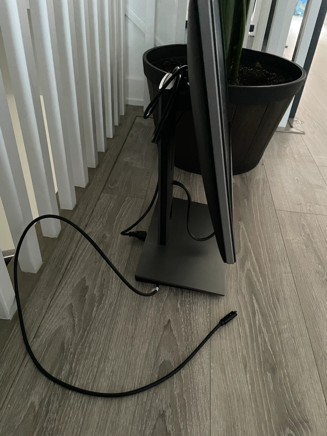 Dell Monitor - photo 2