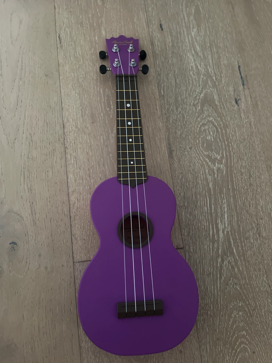 Purple Ukulele with Gig Bag