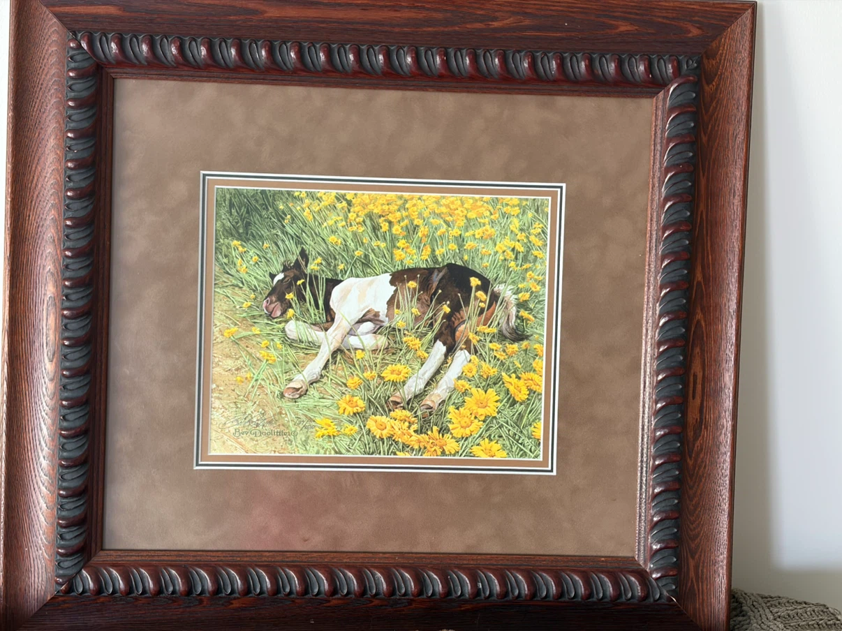 Bev Doolittle print “ Spring Break” framed