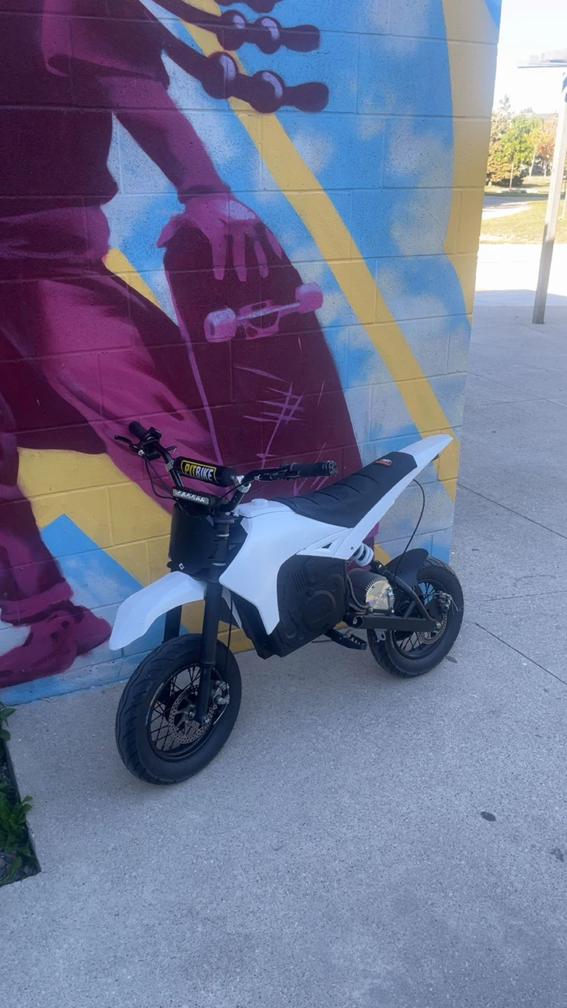 Modded Razor SX500 - photo 2