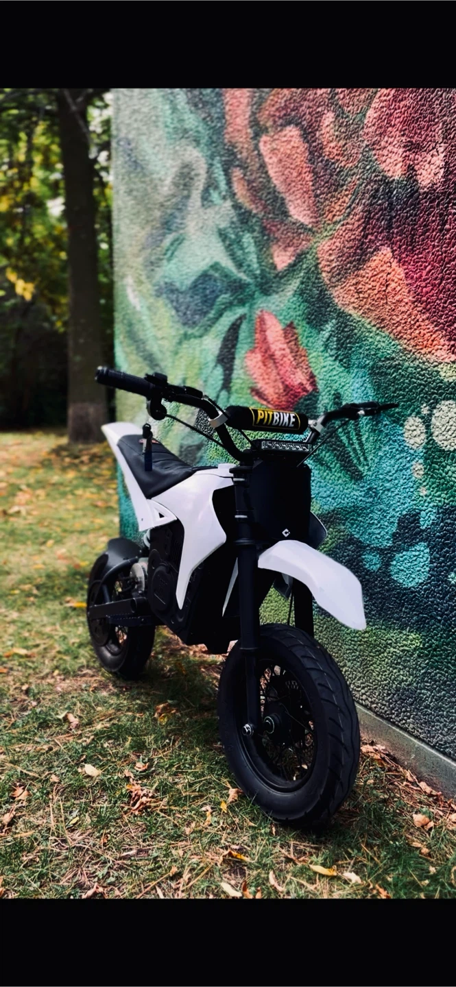 Modded Razor SX500 - photo 3