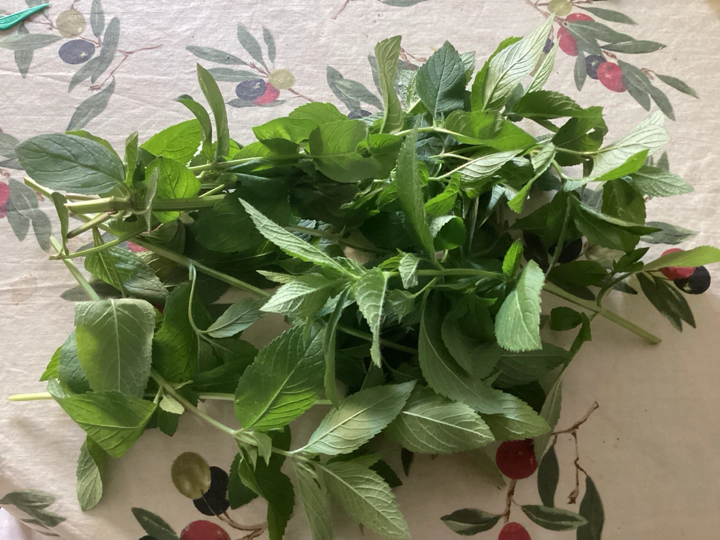 Fresh Mint