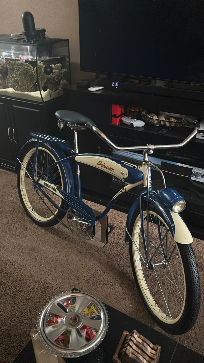 24” Schwinn Hornet