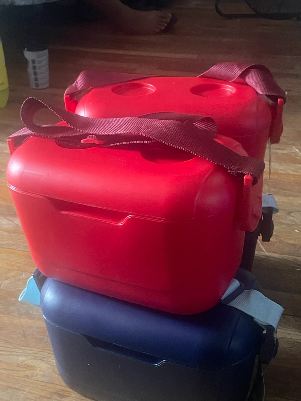 4 Red and blue Insulated Cooler Bags with Straps - Set of 2
