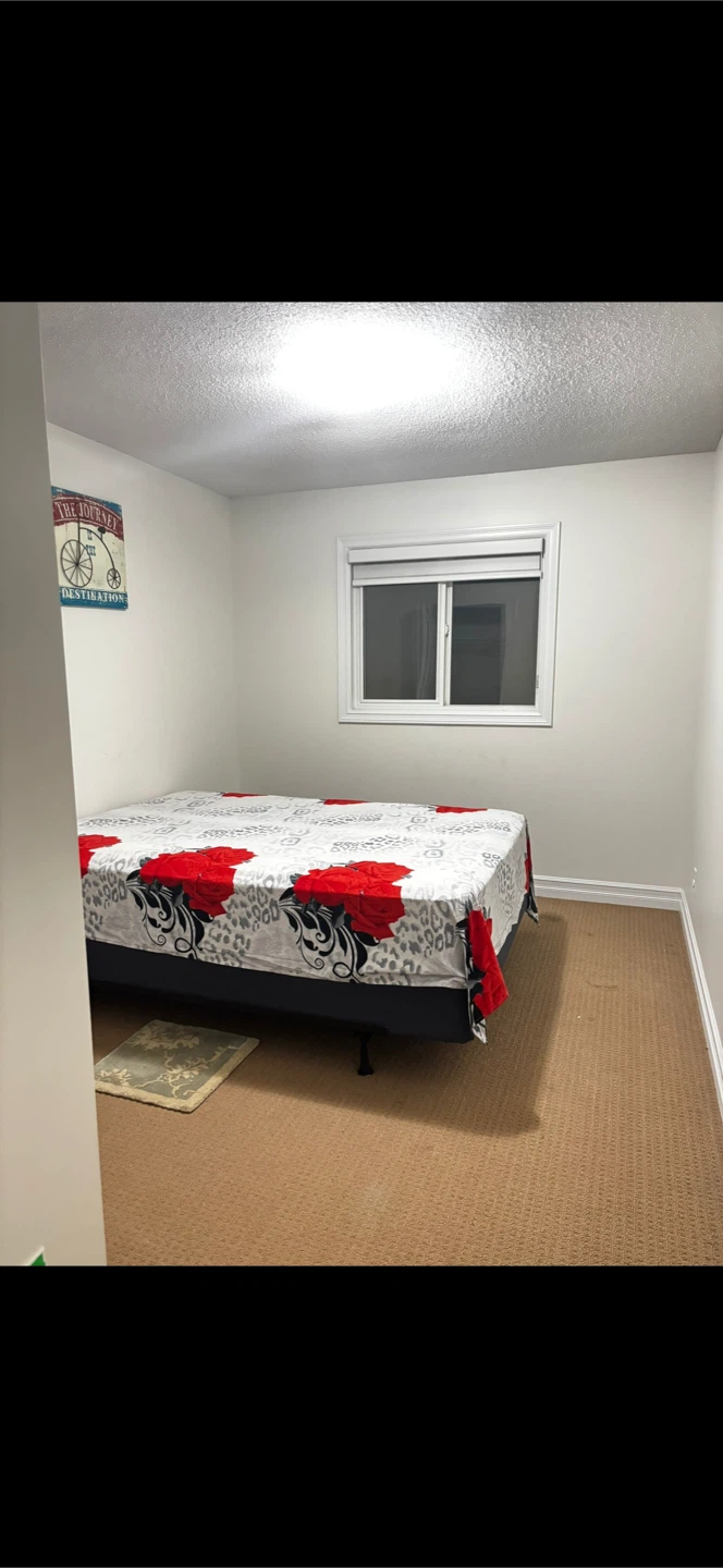 Room for rent - photo 2