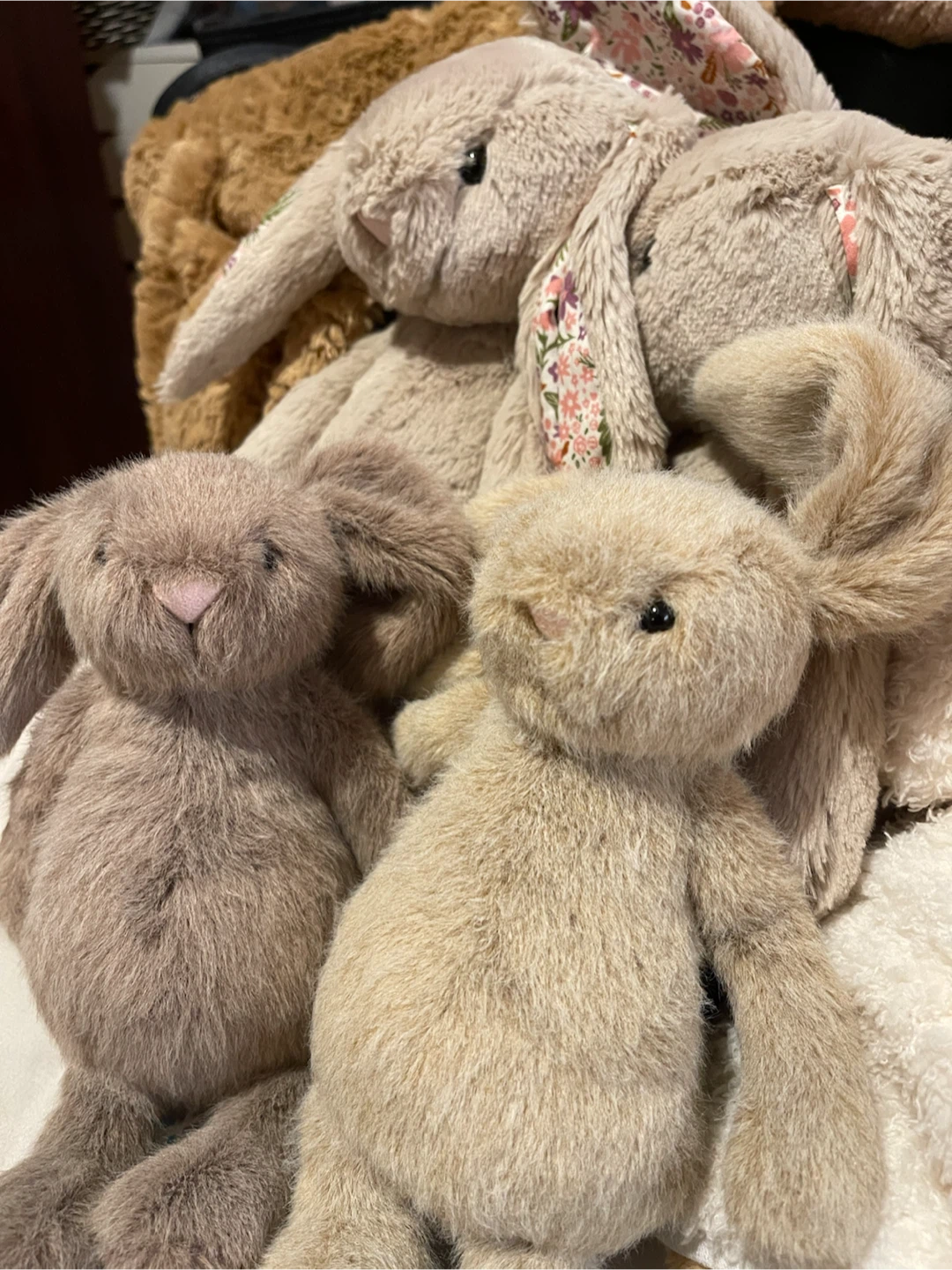 Jellycat Bunnies