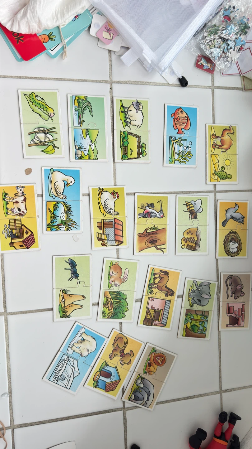 Animal home Pairing Puzzle Cards