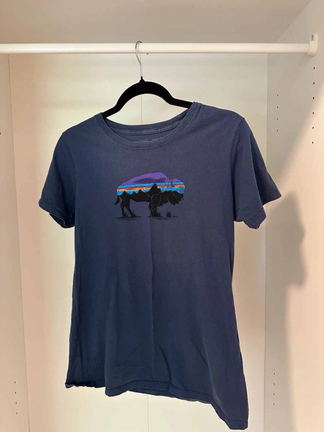 Patagonia Logo T-shirt