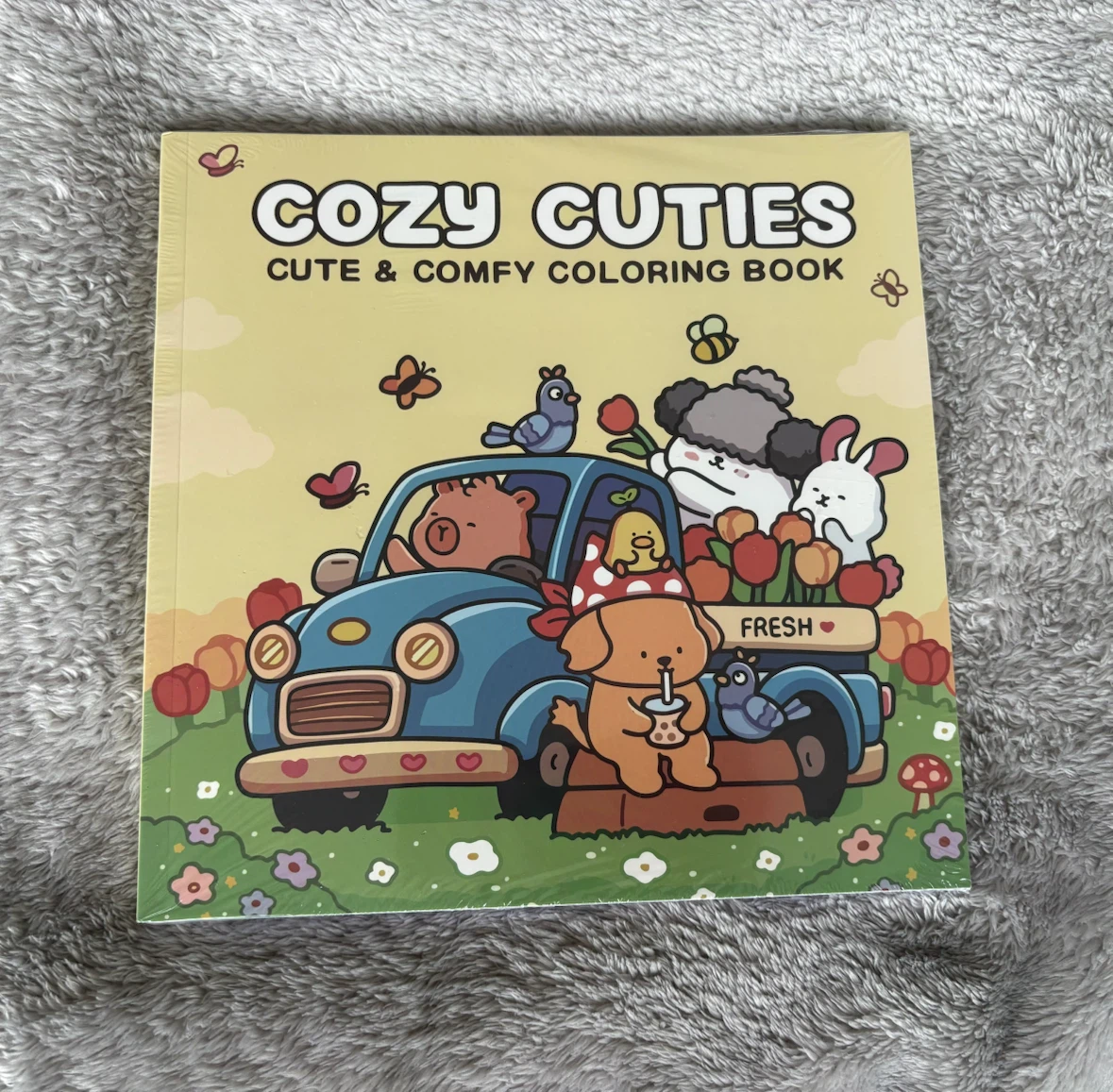 Cozy colouring books for 8 dollars each ! - photo 2