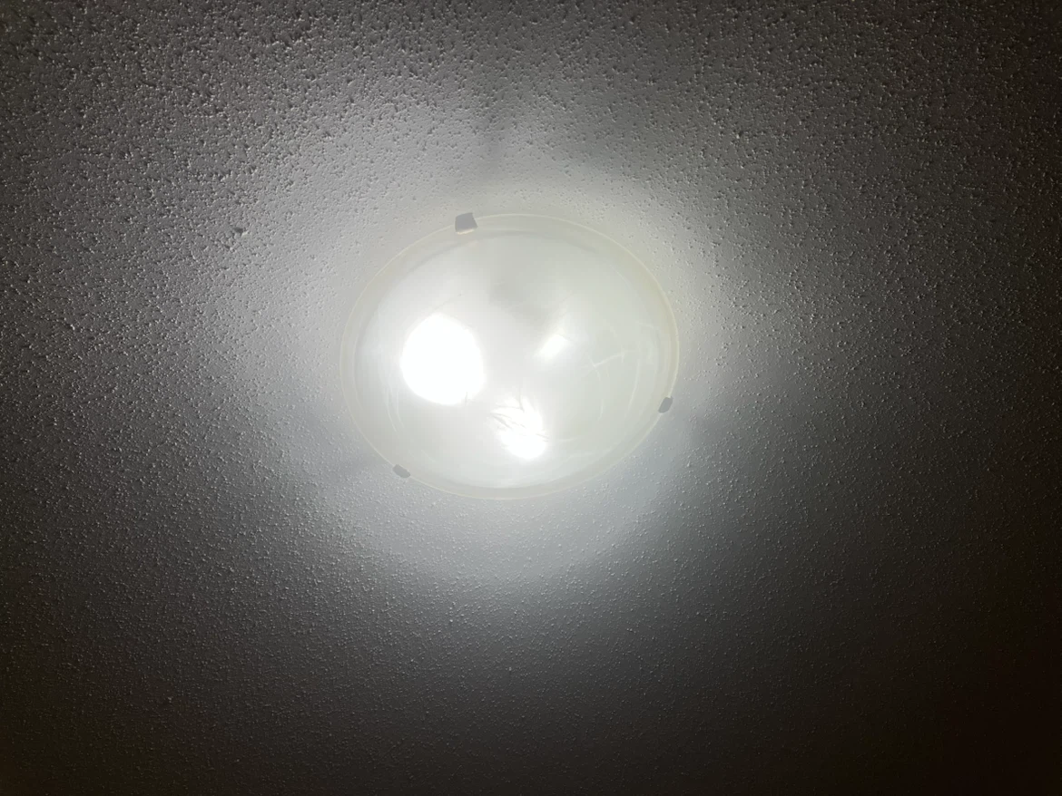 Flush Mount Ceiling Light Fixture - photo 3