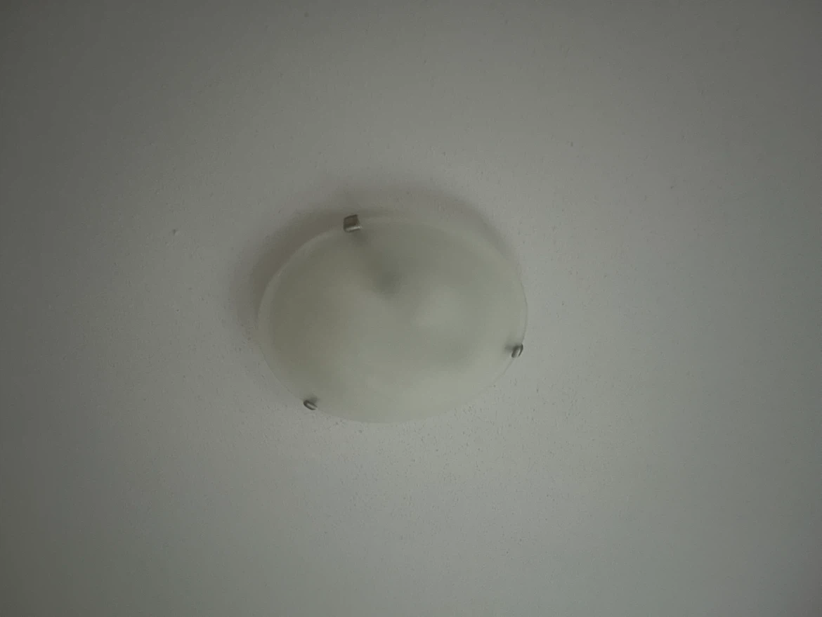 Flush Mount Ceiling Light Fixture - photo 4