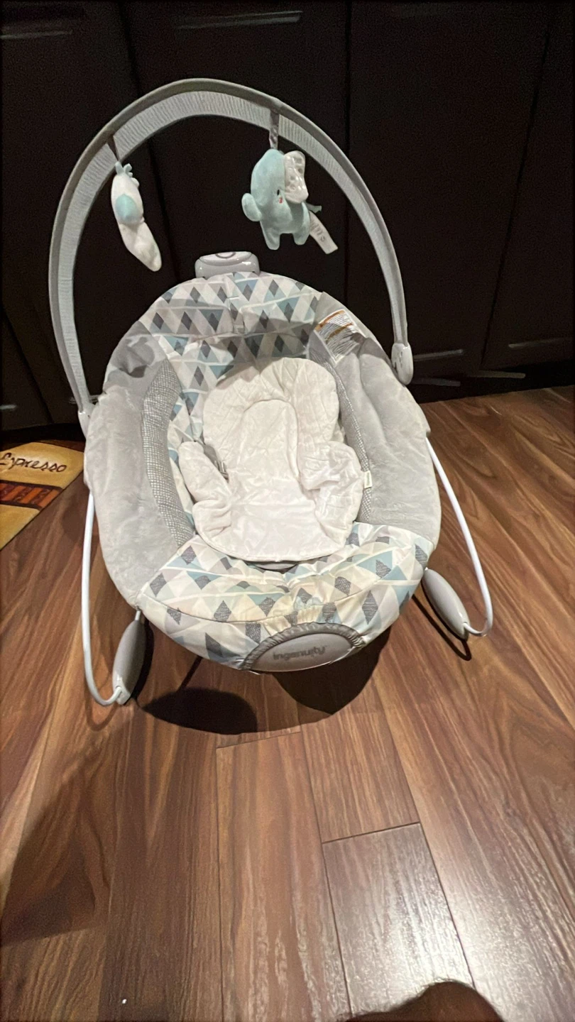 Ingenuity- baby chair swing