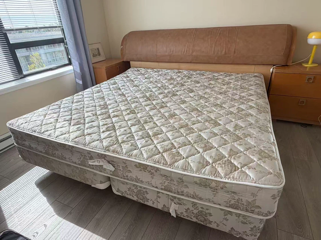 Free king mattress with box springs