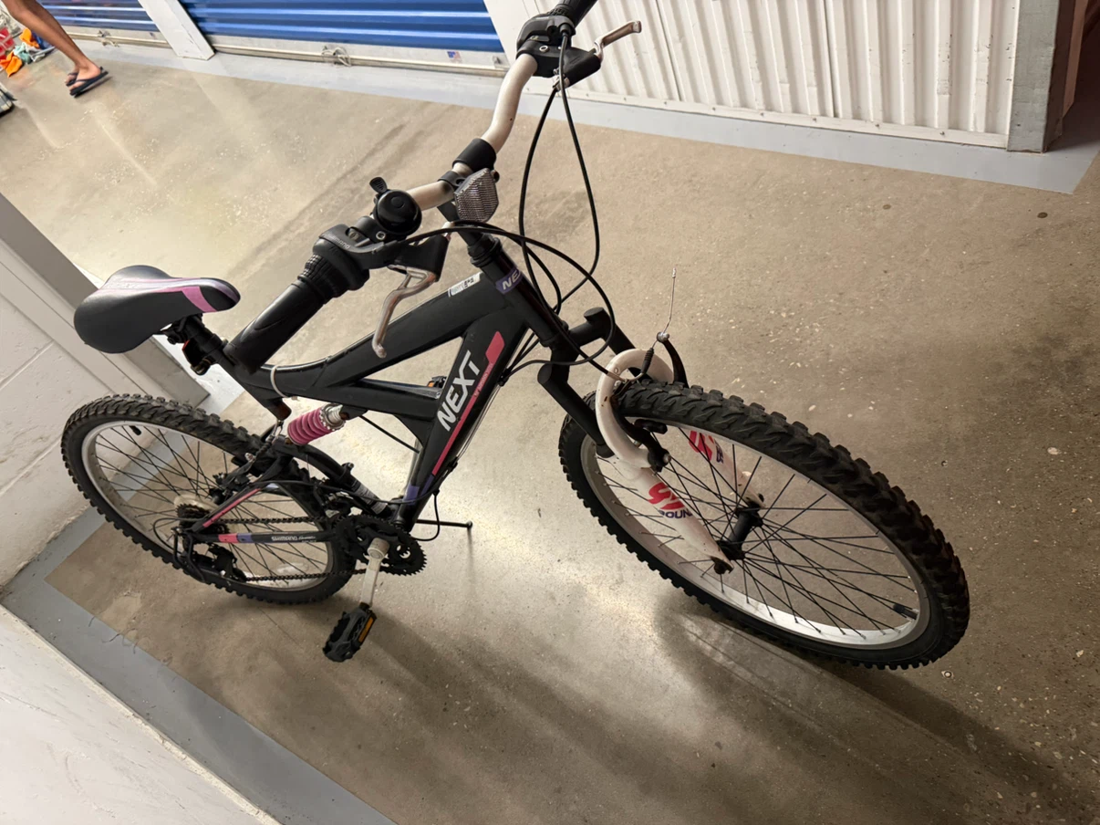 NEXT "Power Surge" Mountain Bike