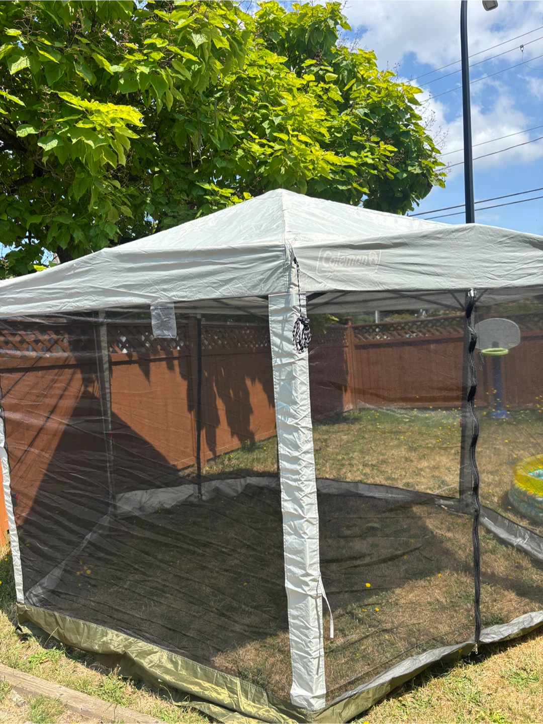 Coleman Screened Canopy Tent - photo 3