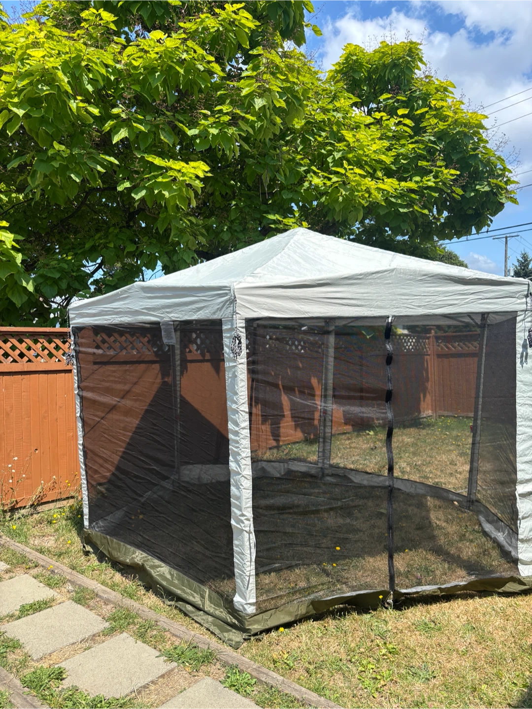 Coleman Screened Canopy Tent - photo 4