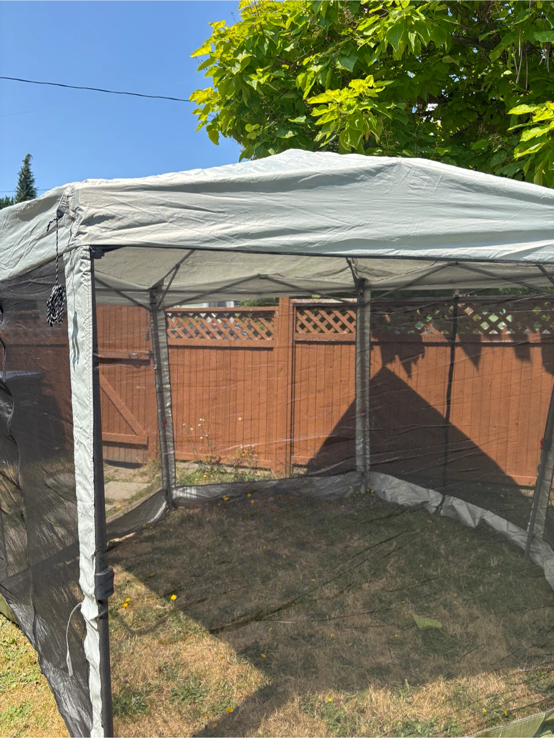 Coleman Screened Canopy Tent - photo 5