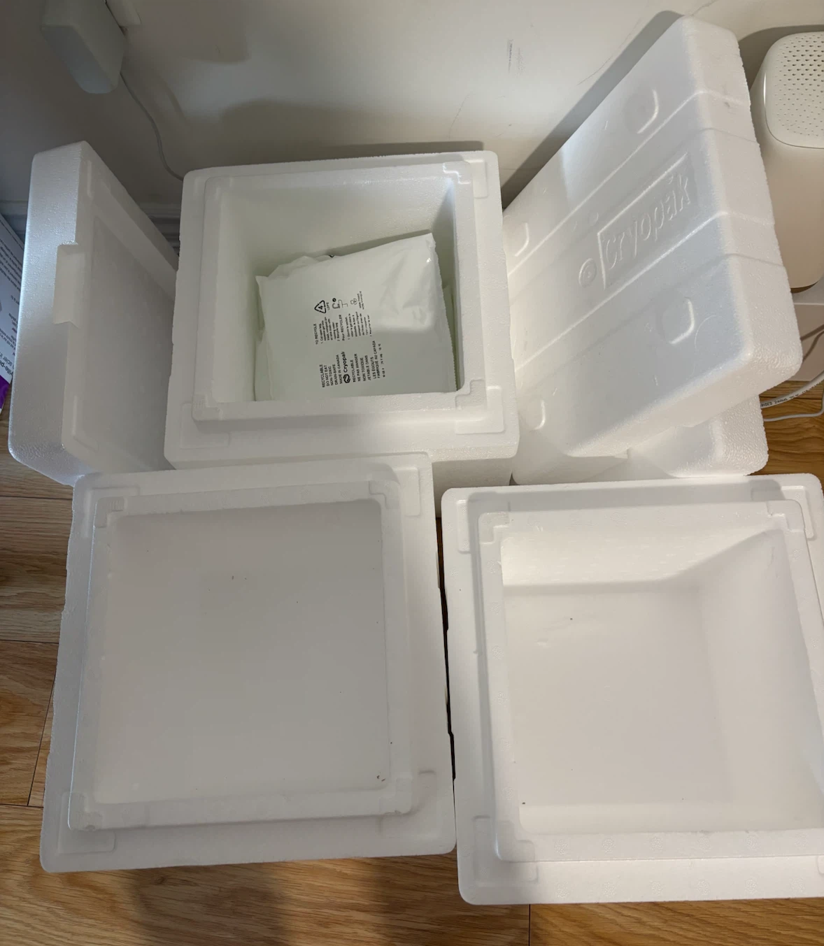 Styrofoam Insulated Cooler Box (5 free ice packs)