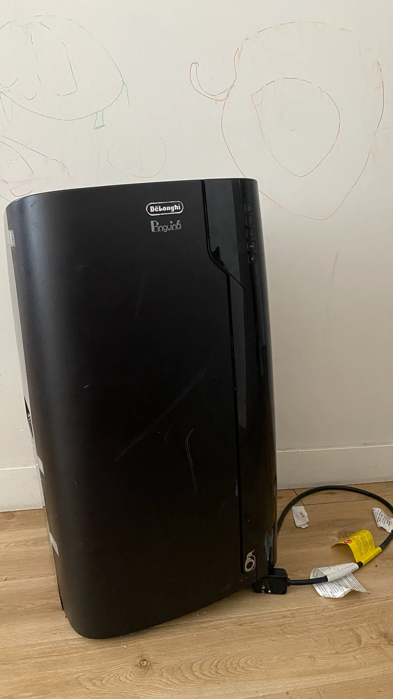 DeLonghi Pinguino Portable Air Conditioner
