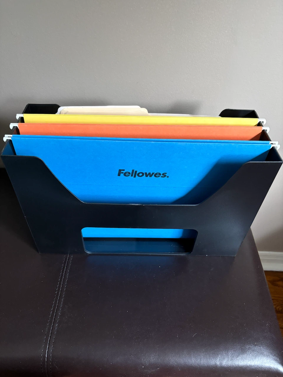 Fellowes Black Plastic File Sorter with Hanging Folders