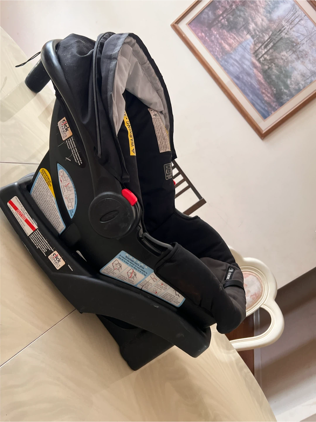 Graco Infant Car Seat with Base