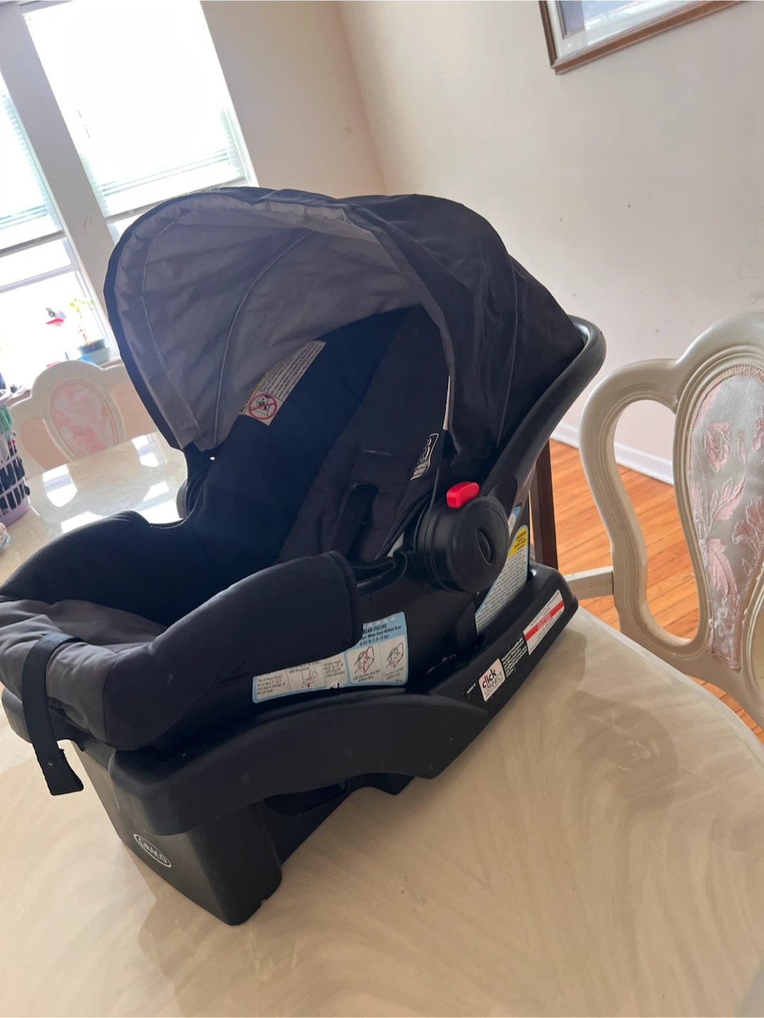 Graco Infant Car Seat with Base - photo 3