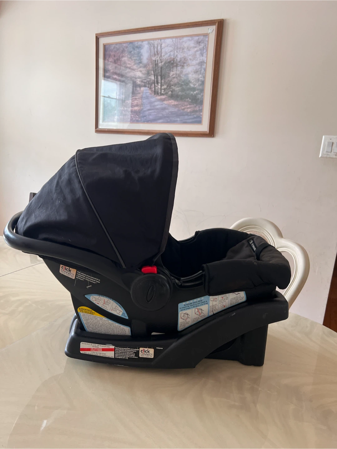 Graco Infant Car Seat with Base - photo 4
