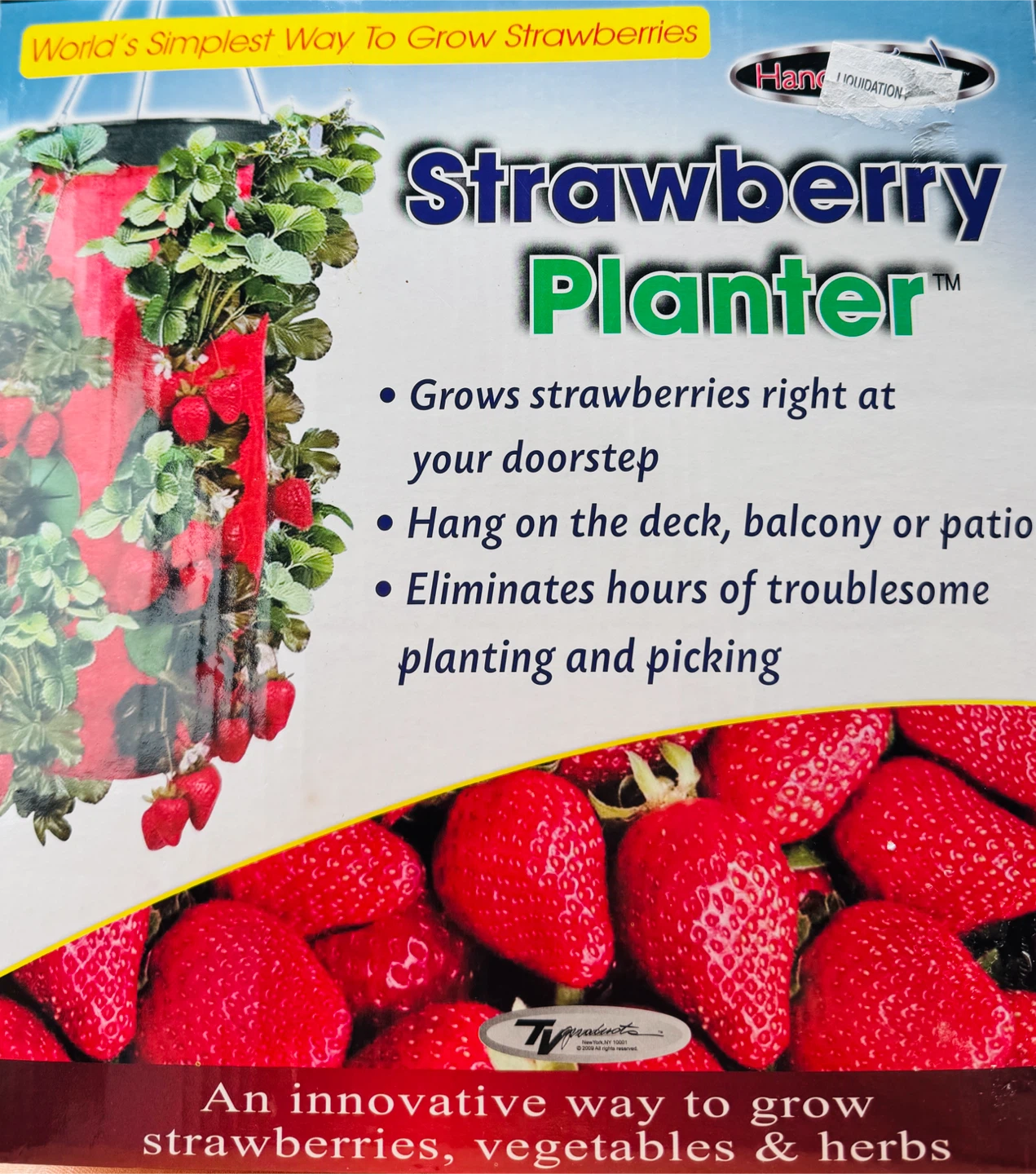 Strawberry Planter- Handy Trends