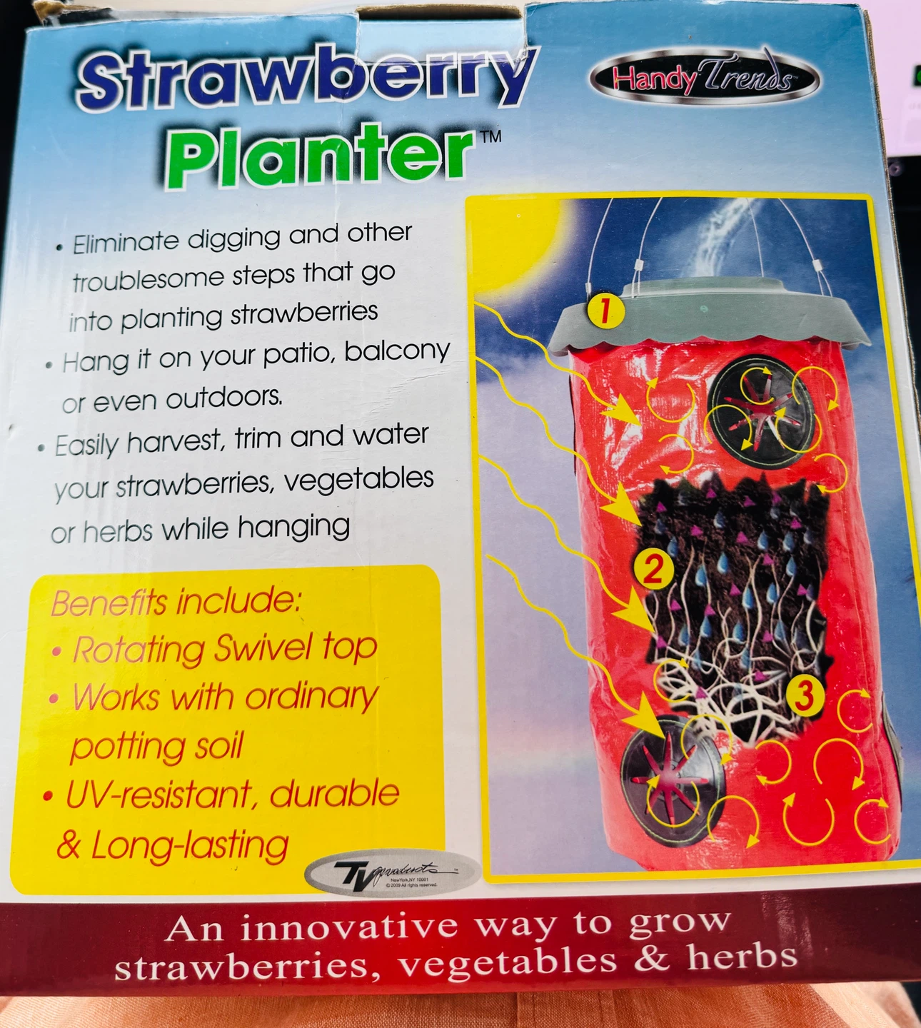 Strawberry Planter- Handy Trends - photo 2
