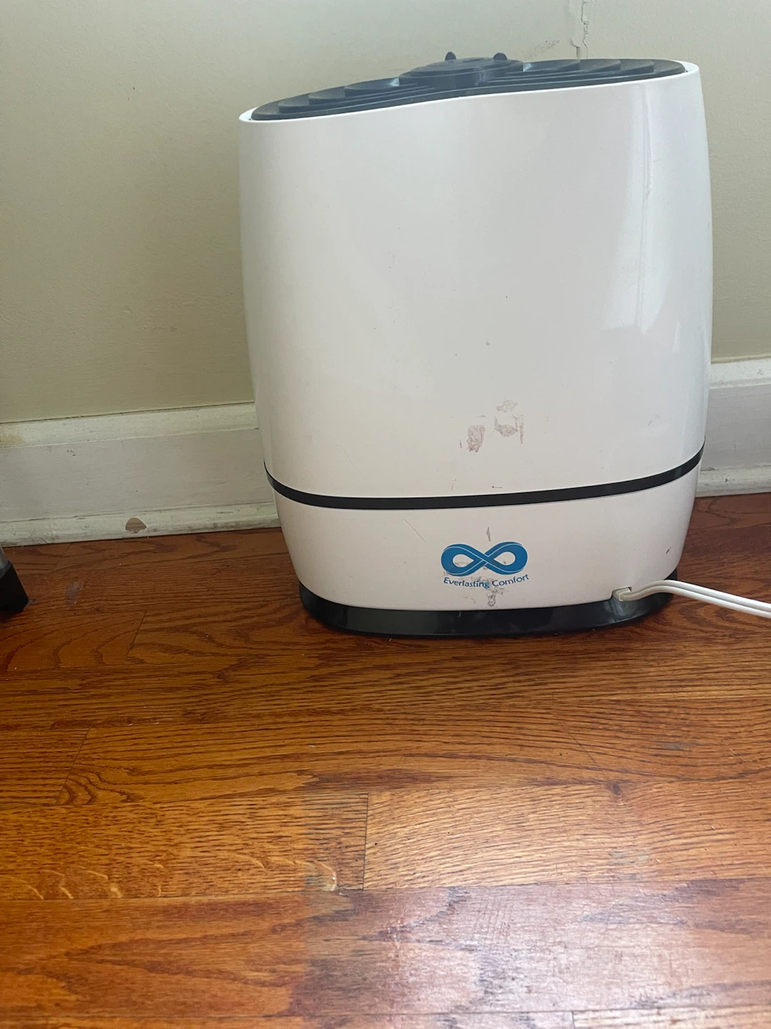 Everlasting Comfort Humidifier - photo 2