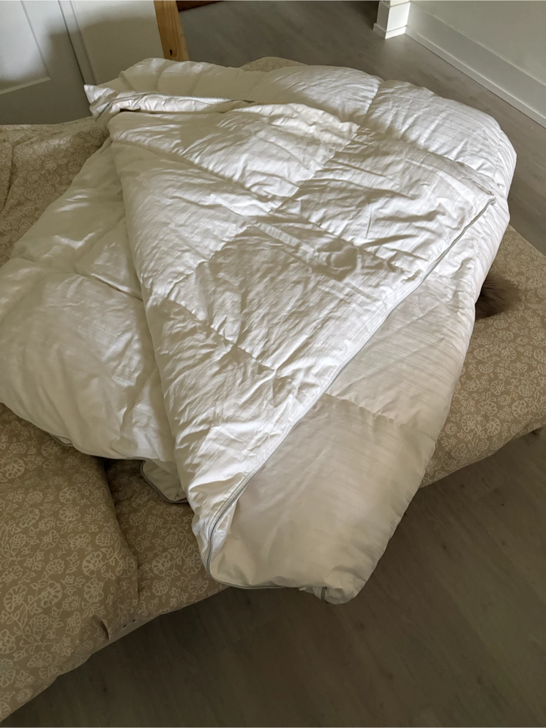 Cachet Hungarian Goose Down Duvet