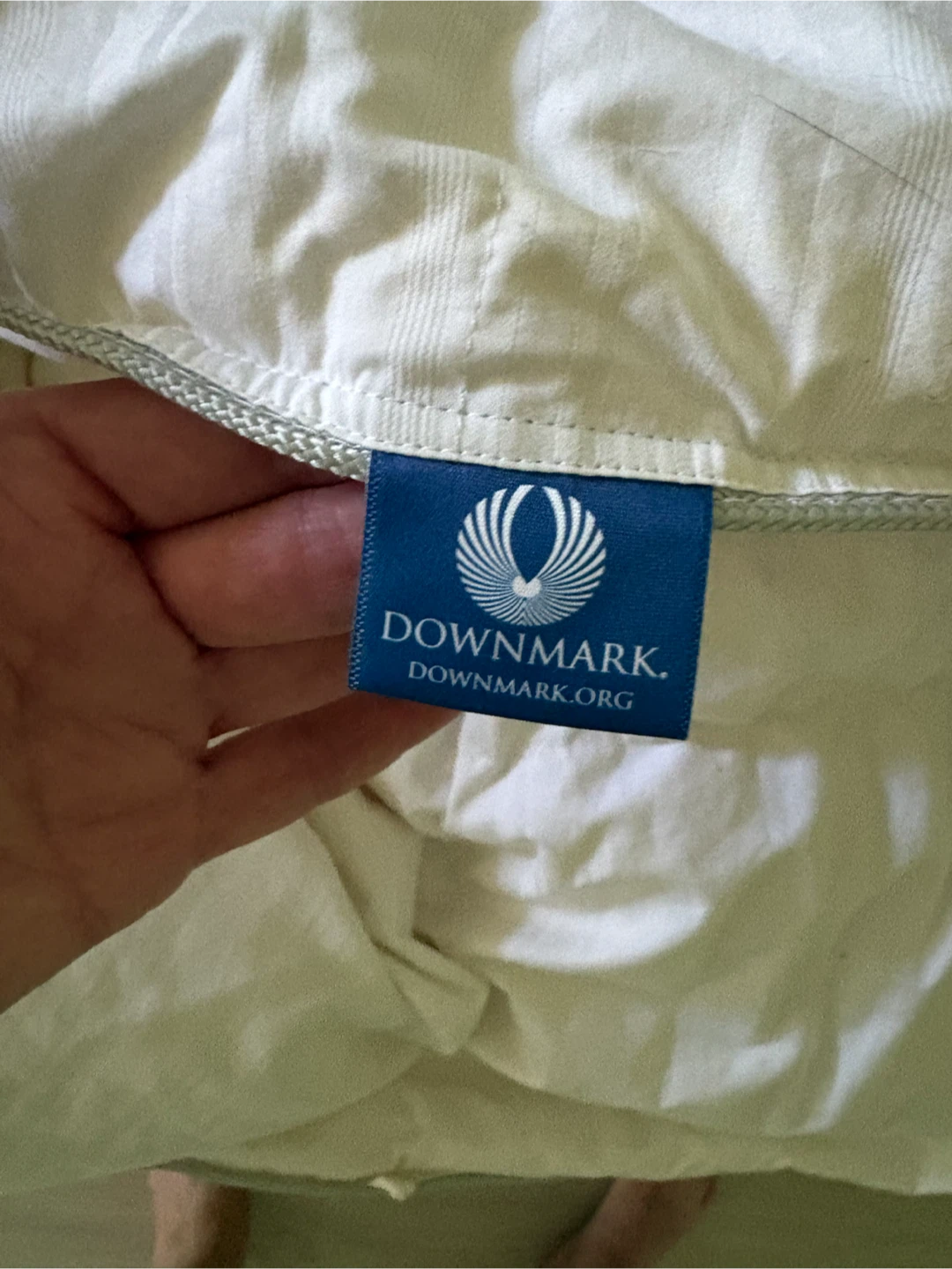 Cachet Hungarian Goose Down Duvet - photo 3