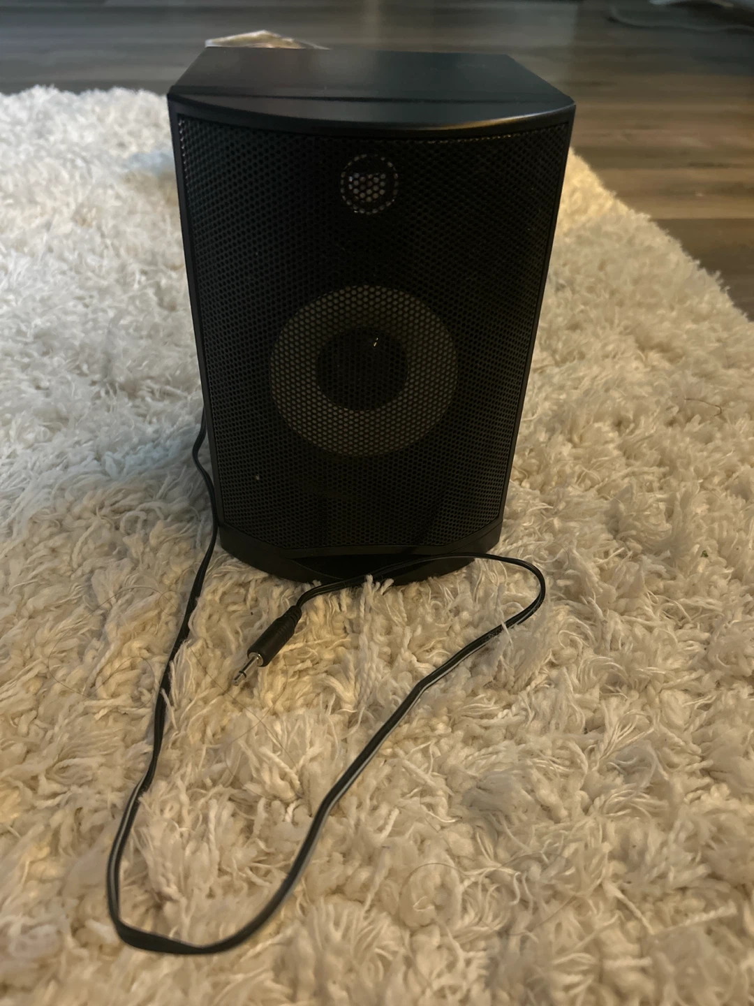 Black Speaker