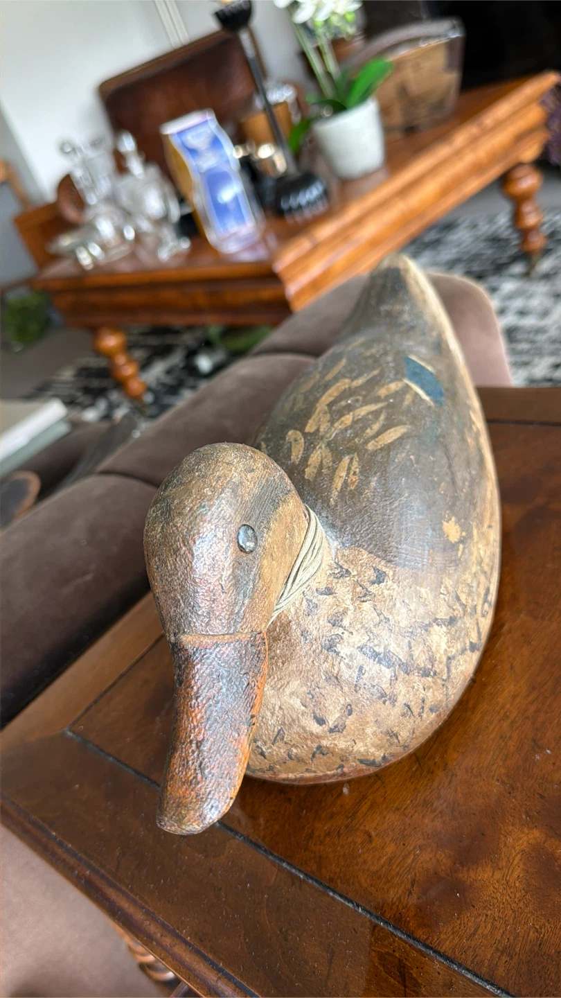 Vintage Mallard Hen Duck Decoy - Vancouver Island Carver - photo 2