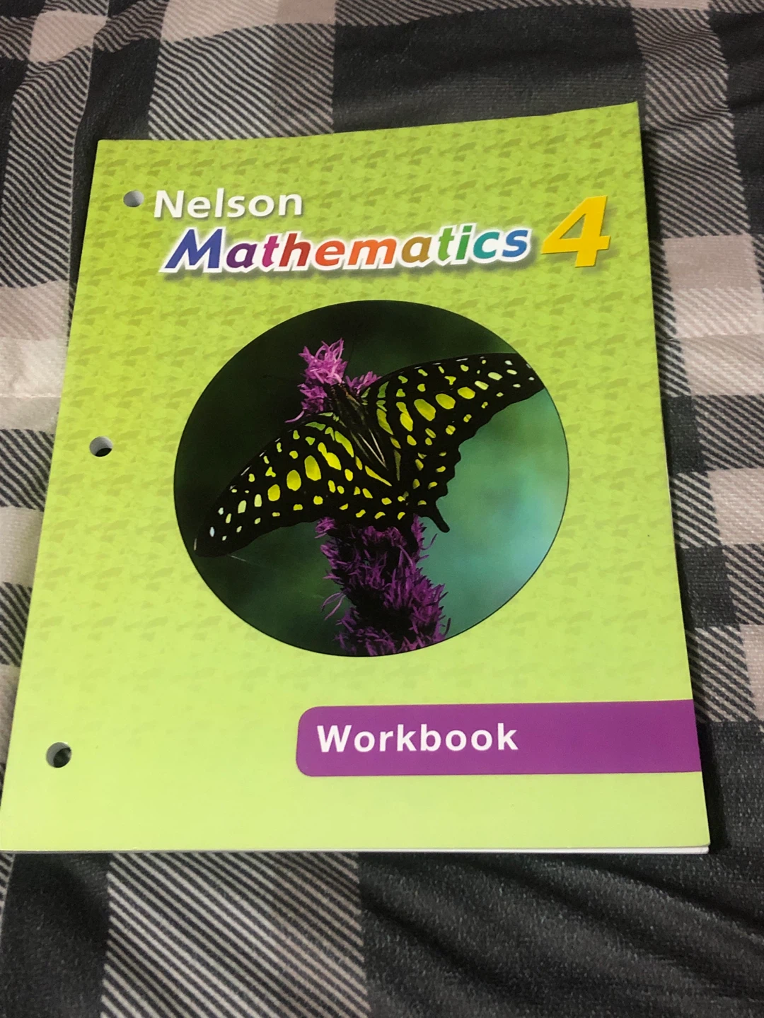 Nelson Mathematics 4 Workbook
