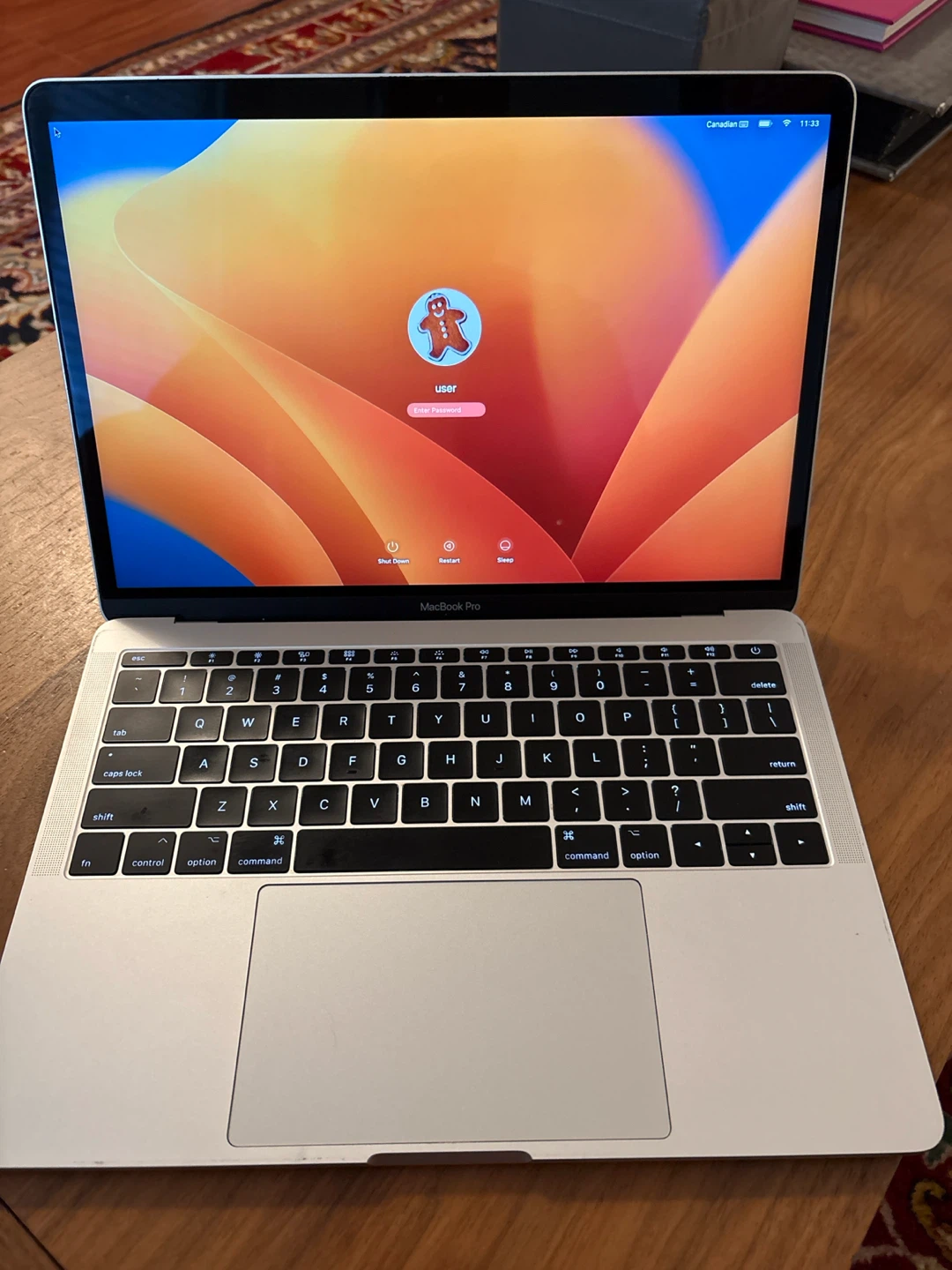 Apple MacBook Pro 13-inch (2017) - photo 3