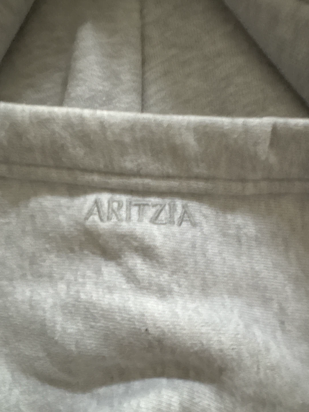 ARITZIA Grey COZY FLEECE Hoodie - photo 2