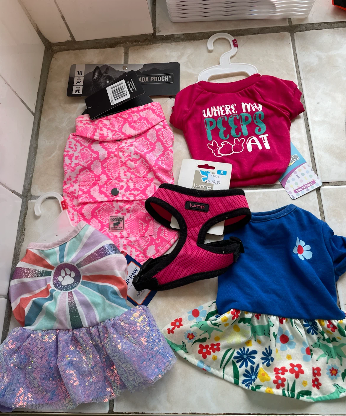 XS Brand New Dog Clothes & Harness Lot