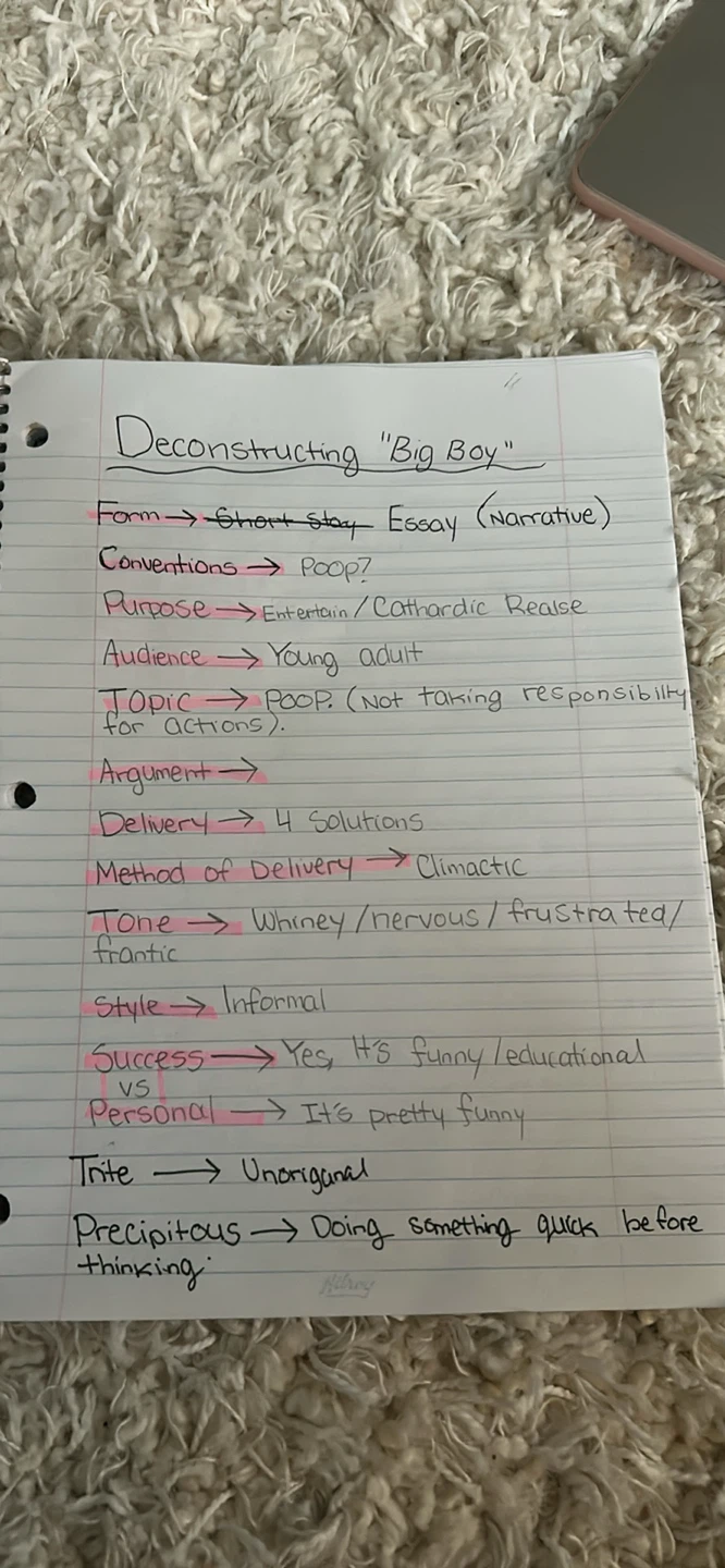AP Grade 12 English notes. - photo 3