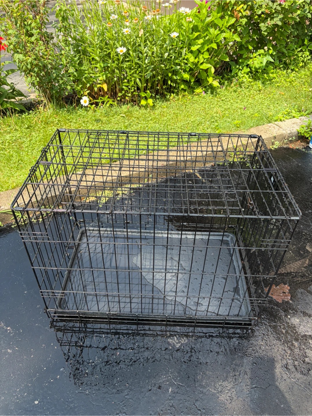 iCrate Dog Crate