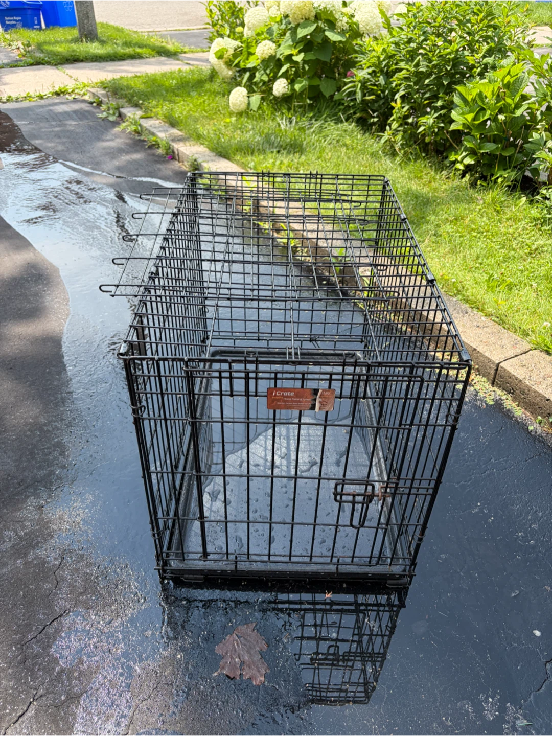 iCrate Dog Crate - photo 2