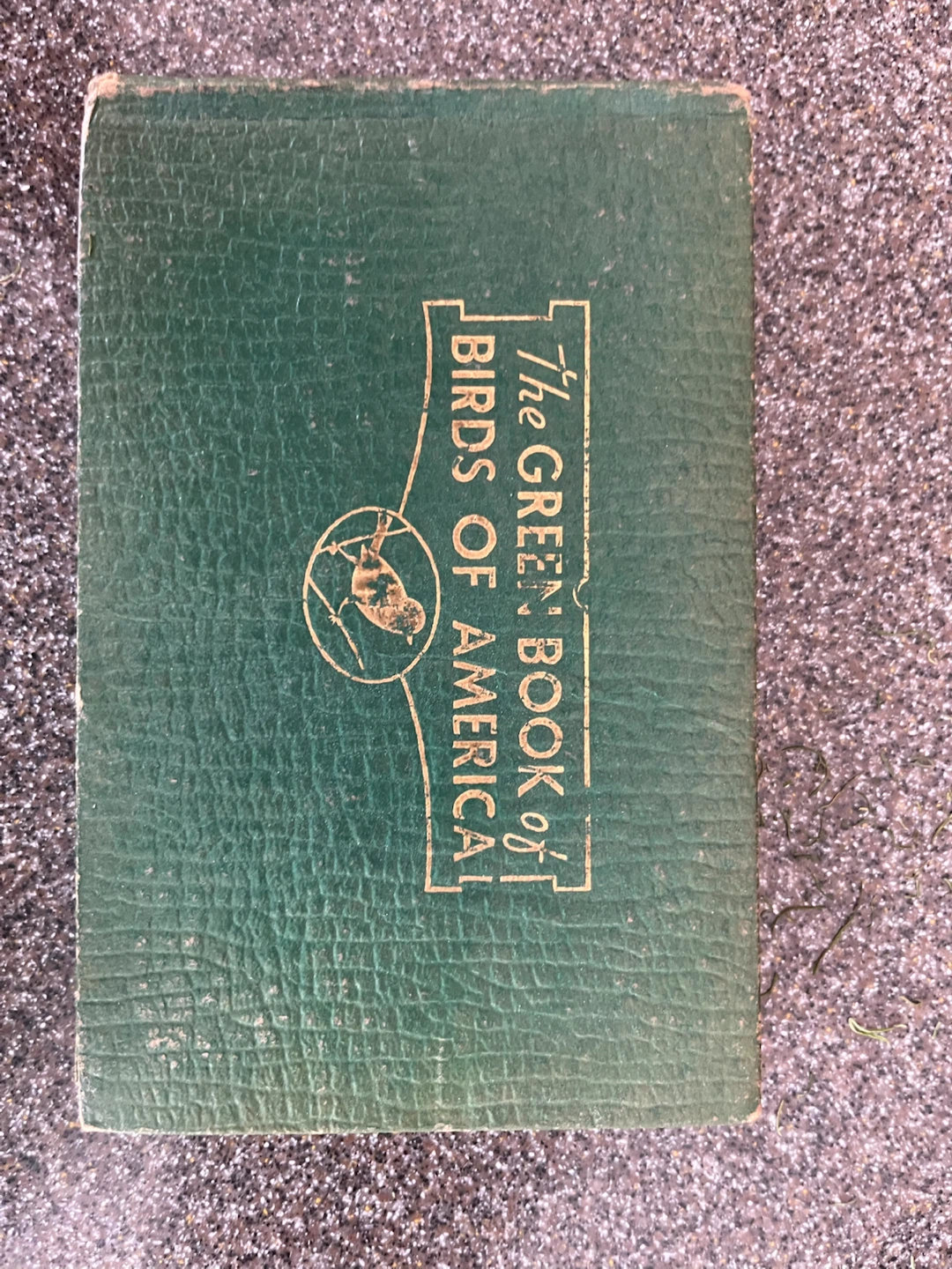 The Green Book of Birds of America By Frank Ashbrook