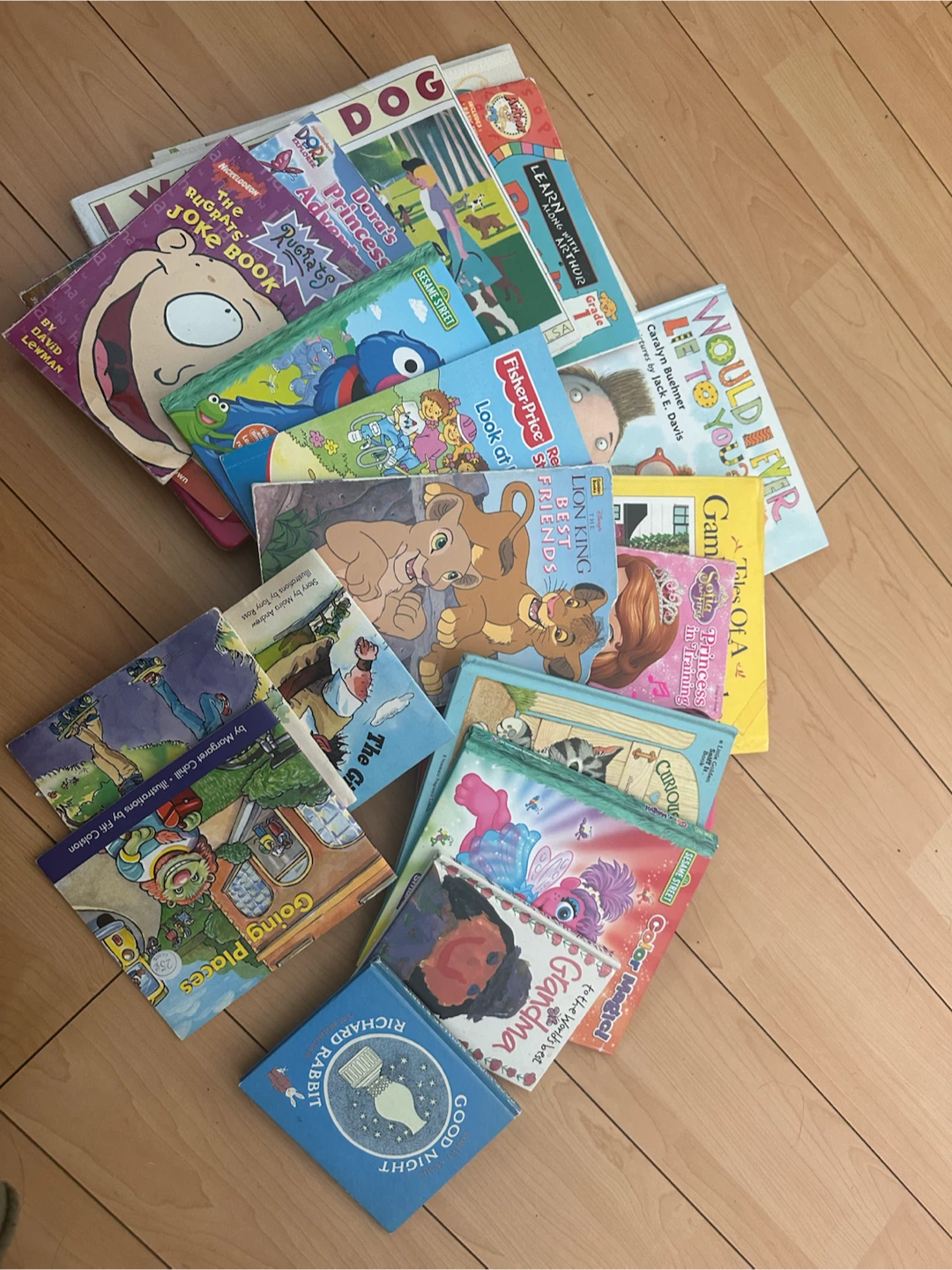 Assorted Children's Books Collection