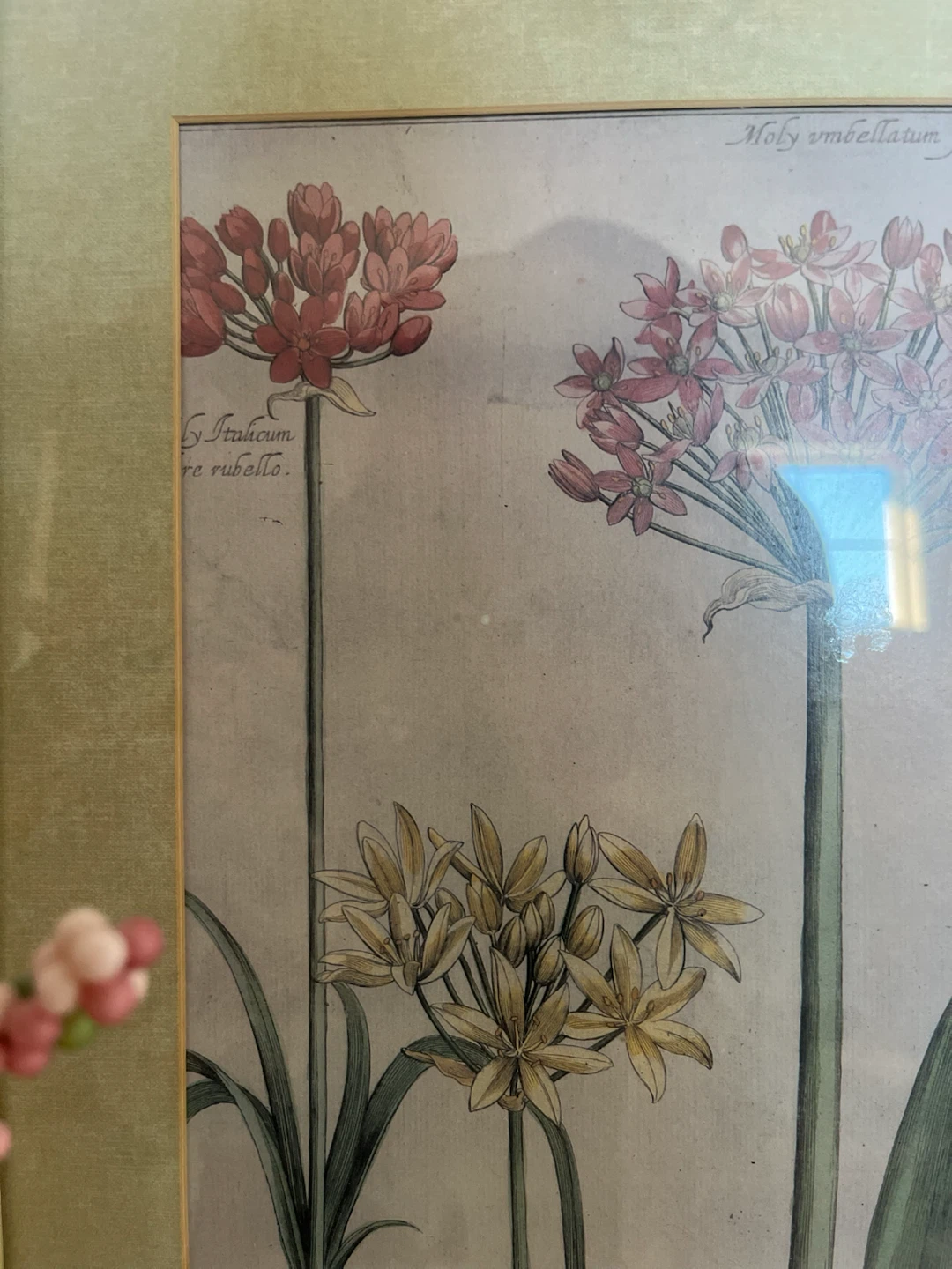 Framed Botanical Print and Artificial Flowers - photo 5