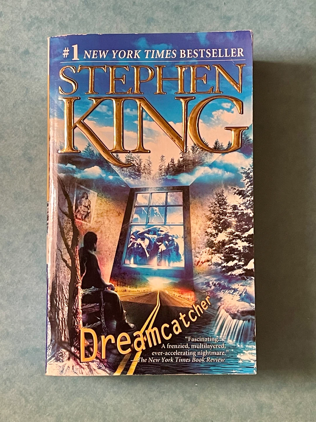 Stephen King Dreamcatcher Paperback Book