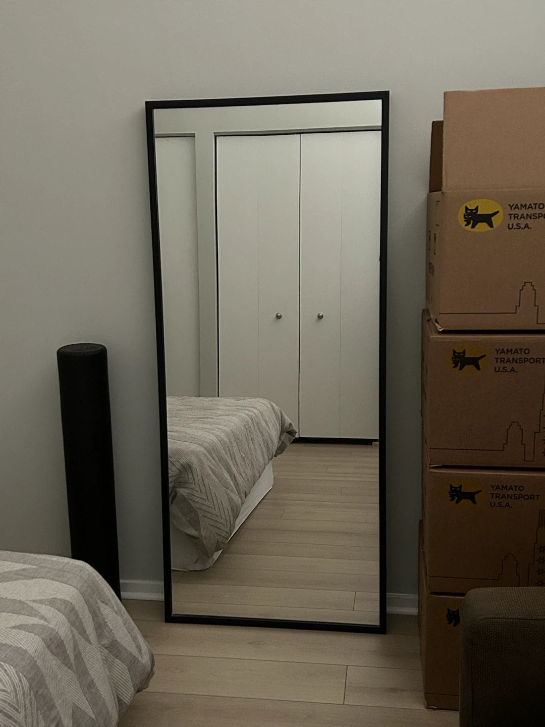 Tall Ikea Mirror with Dark Wood Frame